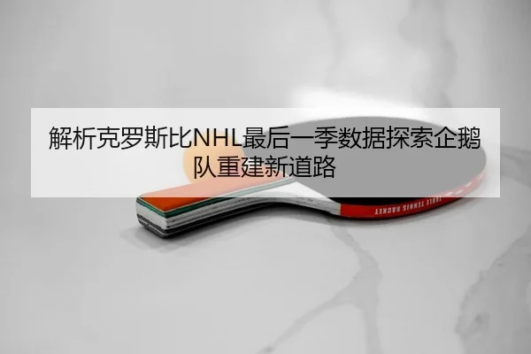解析克罗斯比NHL最后一季数据探索企鹅队重建新道路